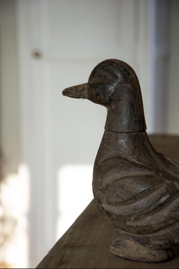 Le Roi Des Oiseaux - Gite A La Campagne Montcavrel Екстер'єр фото