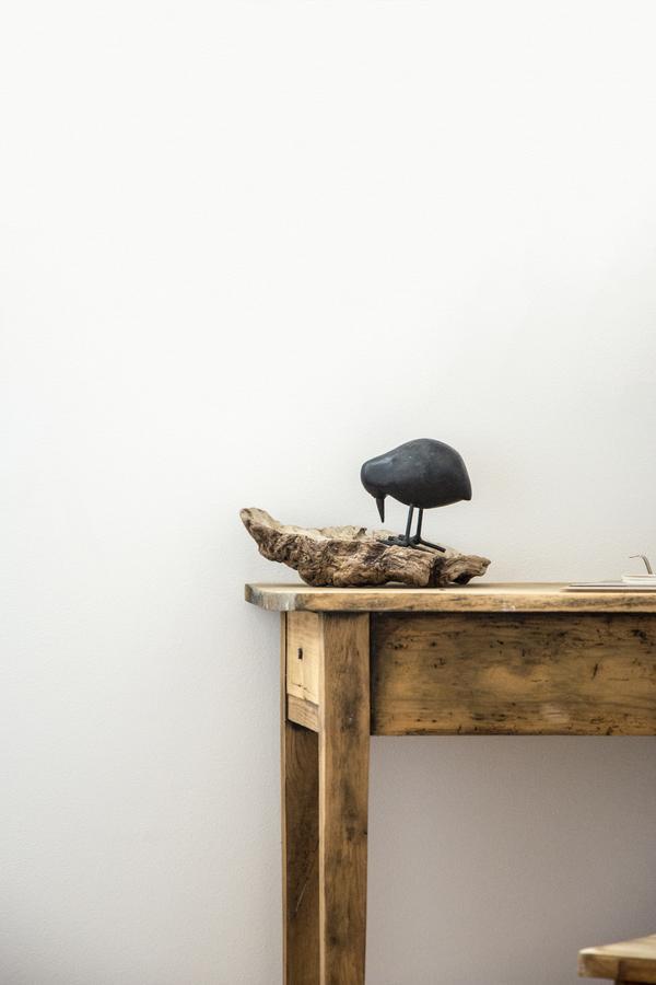 Le Roi Des Oiseaux - Gite A La Campagne Montcavrel Екстер'єр фото